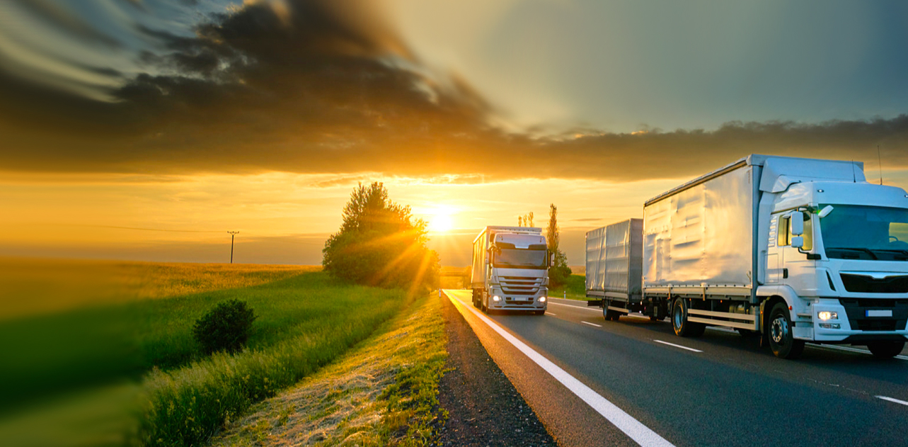 Transport & Logistics